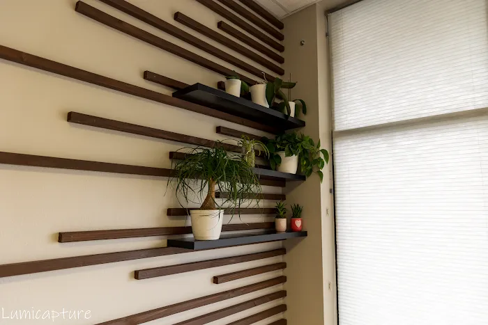 Natural Chiropractic and Acupuncture Picture 8