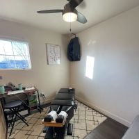 Fox and Kit chiropractic ico