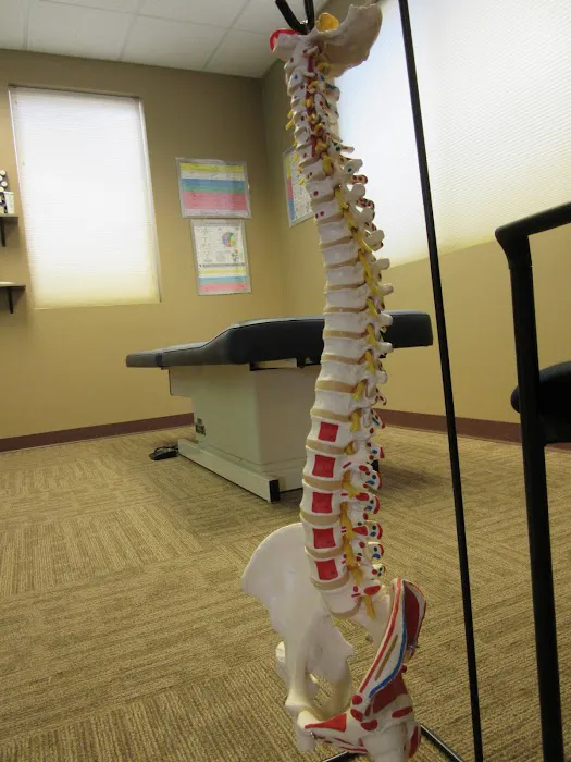 CJ Chiropractic LLC Picture 7