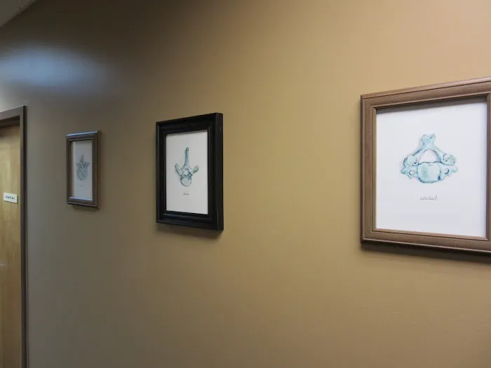 CJ Chiropractic LLC Picture 10