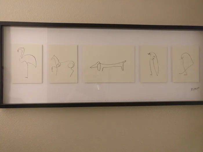 The Concussion Place Picture 2