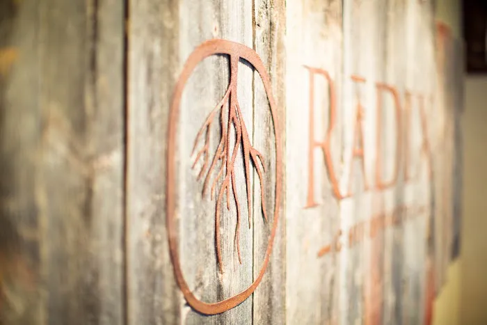 Radix Chiropractic Picture 7