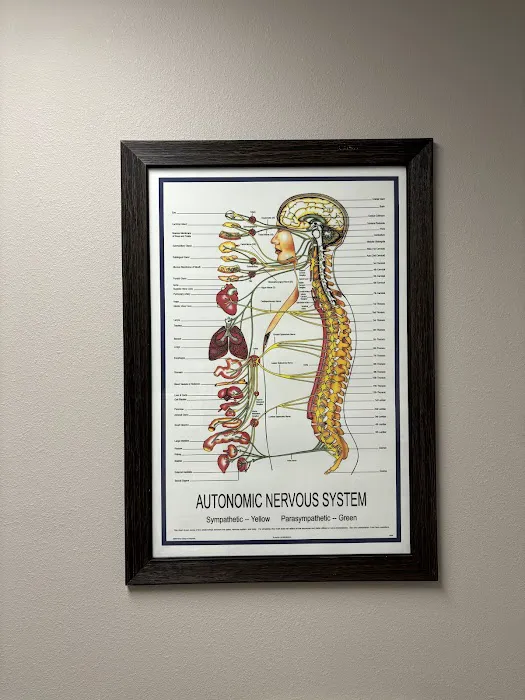 Hexis Chiropractic Picture 9