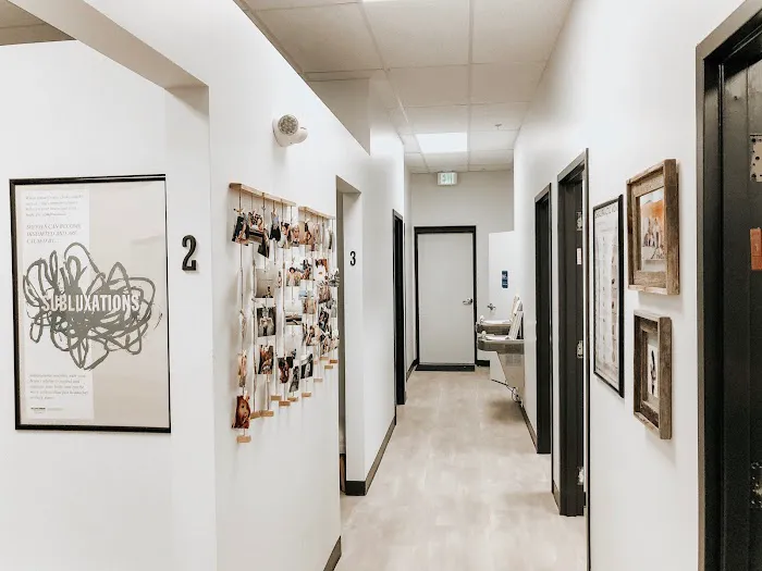 Etio Chiropractic Picture 4