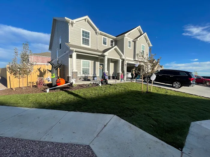 Babies & Bellies Family Chiropractic - Black Forest Picture 4