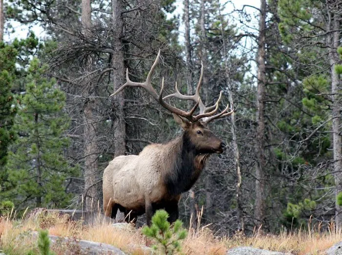 Blackwood Health Center Picture 2