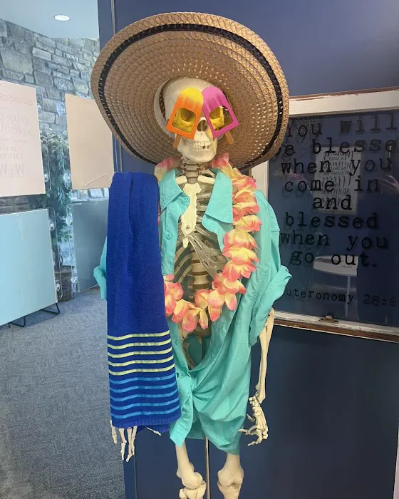 WoW Family Chiropractic Picture 6