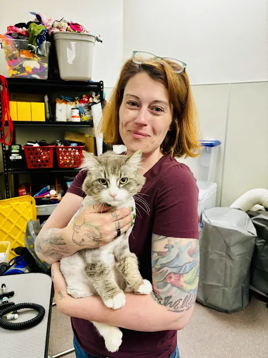 Chiropractic Dogtor Picture 5