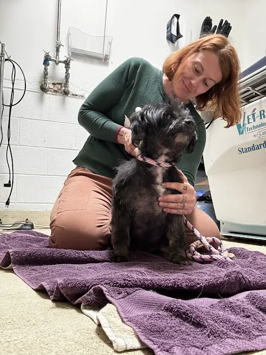 Chiropractic Dogtor Picture 10