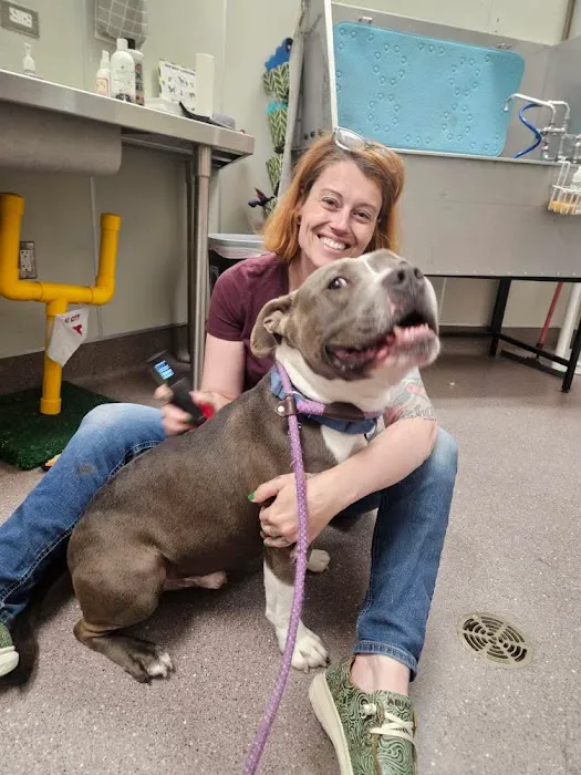 Chiropractic Dogtor Picture 3