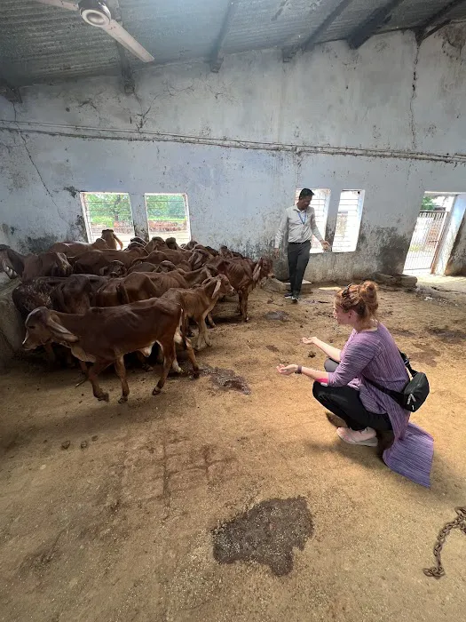 Chiropractic Dogtor Picture 6