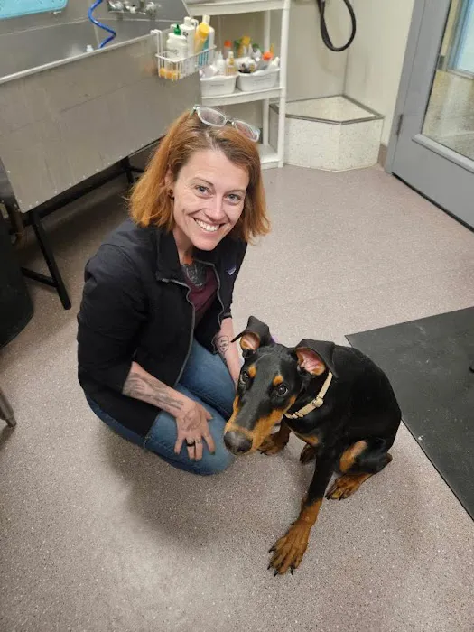 Chiropractic Dogtor Picture 1