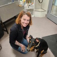 Chiropractic Dogtor ico