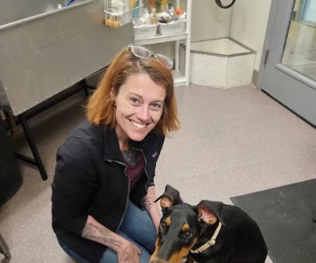 Chiropractic Dogtor