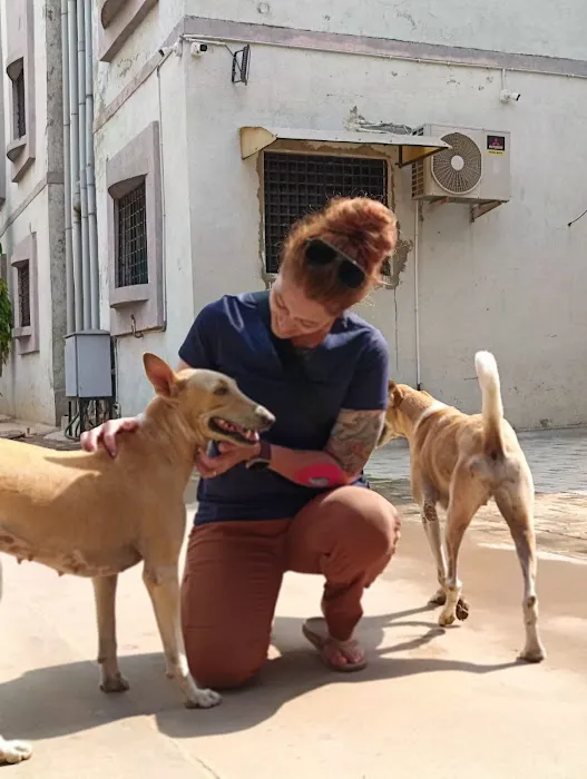 Chiropractic Dogtor Picture 7