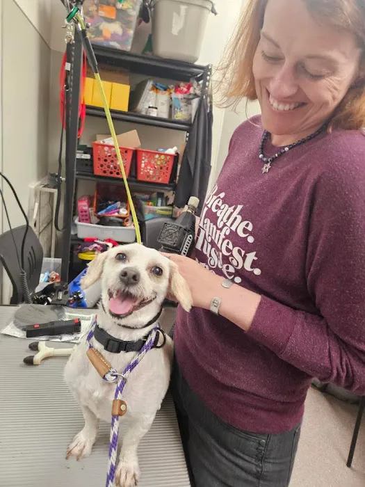 Chiropractic Dogtor Picture 8