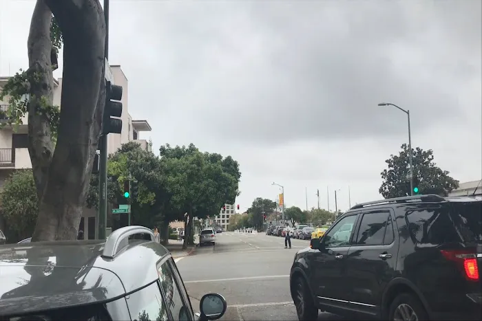 Dr. Stewart Chen【Bay Area chiropractor，東灣脊椎醫生、Oakland脊椎醫生、Oaklan附近脊椎醫生、Alameda脊椎醫生、San leandro chiropractor] Picture 2