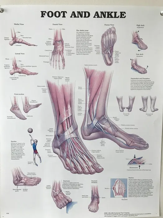 Gentle Chiropractic Care Picture 7