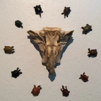 David M. Rittinger, DC ico