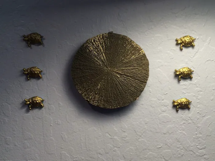 David M. Rittinger, DC Picture 4