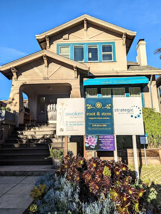 Awaken Chiropractic Picture 2