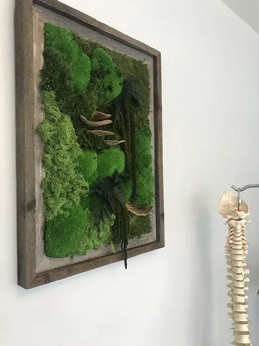 Back In Balance Picture 2