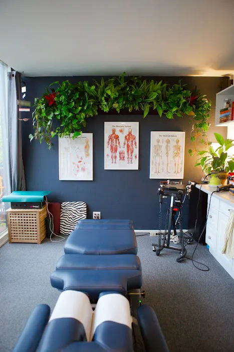 Back In Balance Picture 1