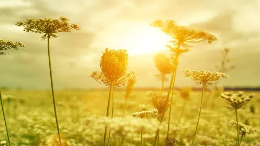 Balance Chiropractic Health Center: Eva Whitmore, DC Picture 2