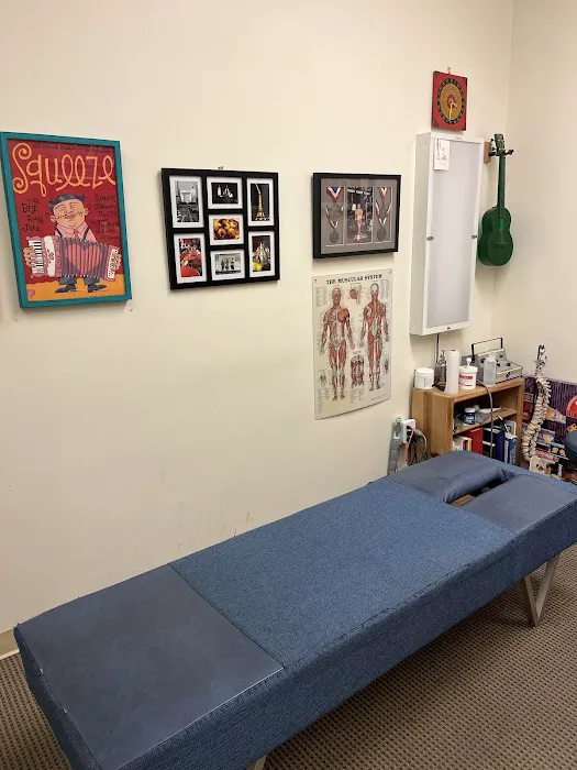 Bird Dog Chiropractic Picture 7