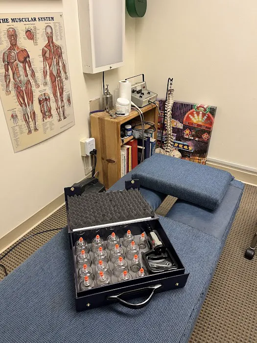 Bird Dog Chiropractic Picture 3