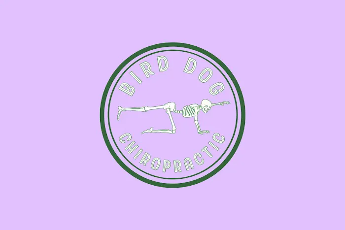 Bird Dog Chiropractic Picture 9