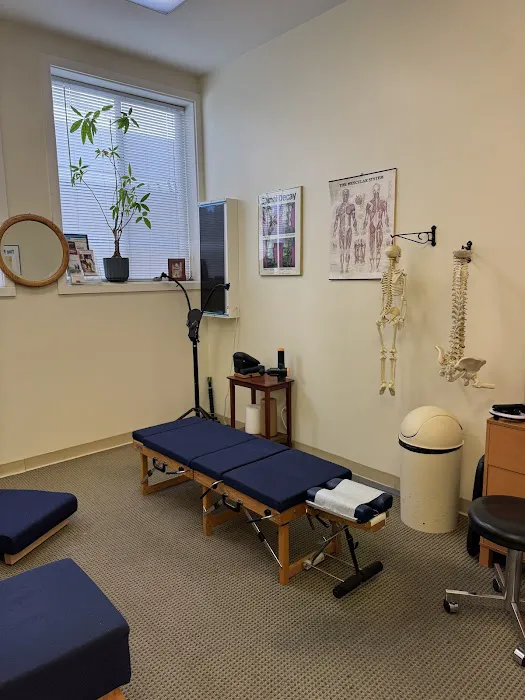 Bird Dog Chiropractic Picture 4