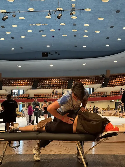 Bird Dog Chiropractic Picture 2