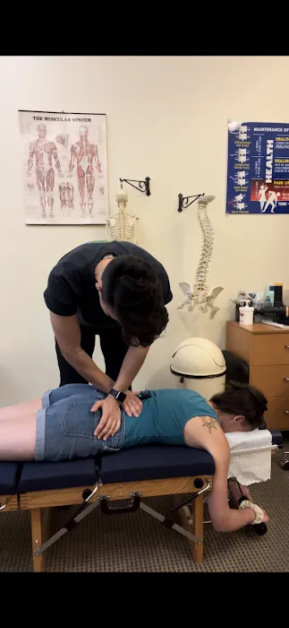 Bird Dog Chiropractic Picture 8