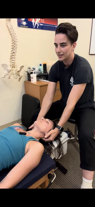 Bird Dog Chiropractic Picture 6