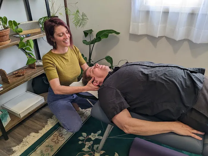 Craniosacral Chiropractic - Dr. Debra Foxfern Picture 5