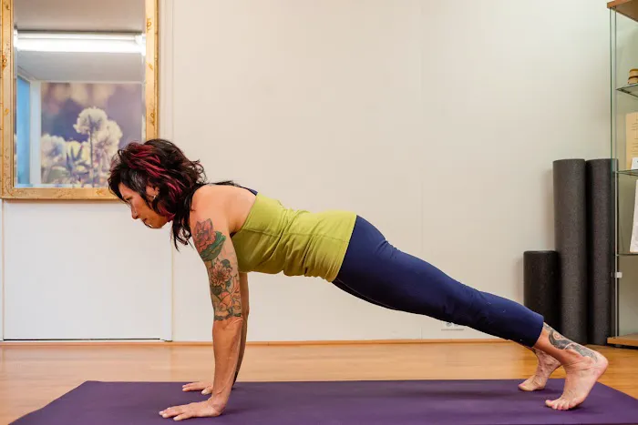 Divine Alignment Chiropractic Laurie Klein DC Picture 6