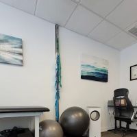 Chicago Pain & Wellness ico