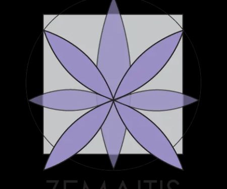 Zemaitis Health and Wellness