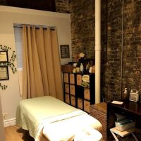 Body Fusion Chiropractic ico