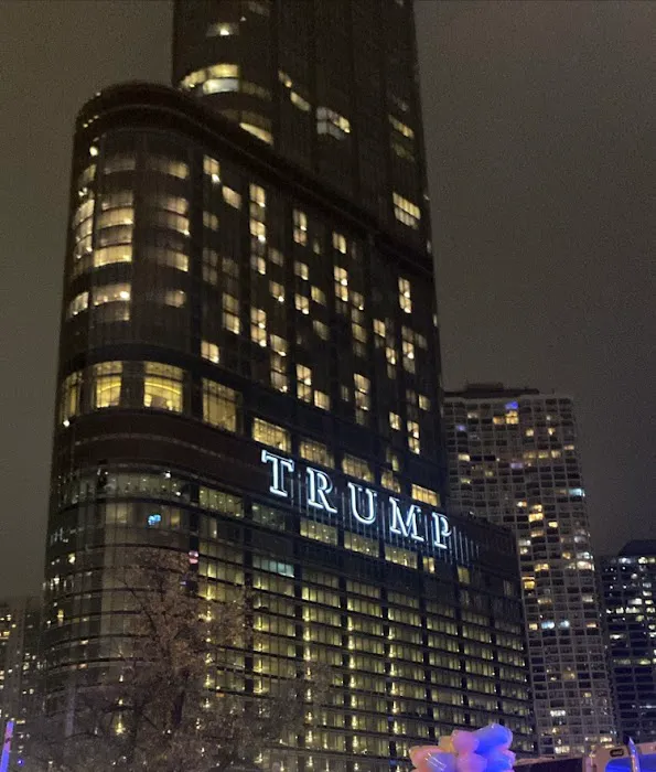 North Michigan Ave Chiropractic Picture 1