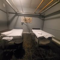 Pain Stop Wellness - Chinatown ico