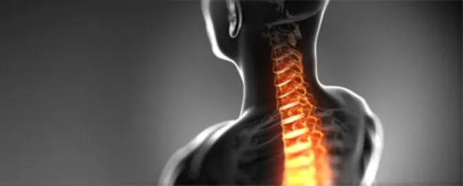 Chicago Chiropractic & Sports Injury Centers Picture 4