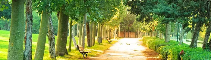 GreenMed Chicago, Elizabeth Davis, DC ,LAc. Picture 4