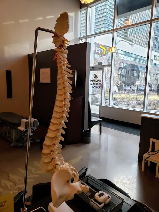 Universal Wellness Source of Lake Shore East Picture 5