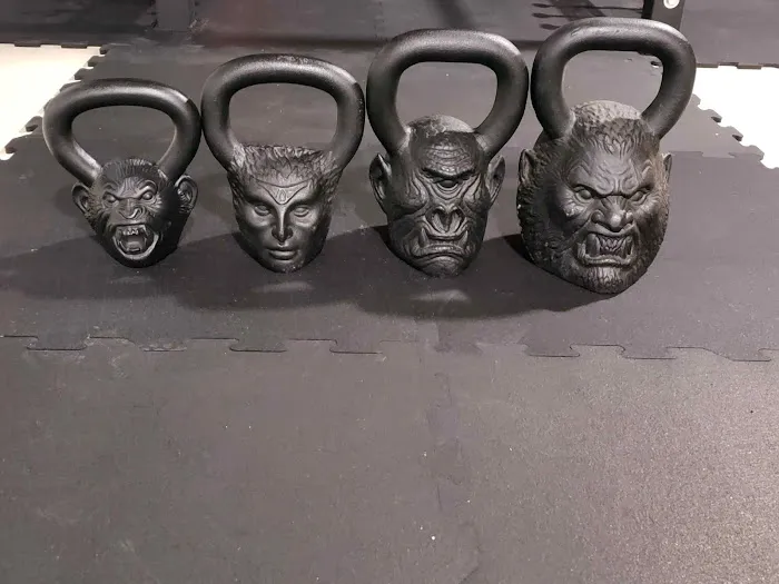 Limitless Performance Chiropractic Picture 3