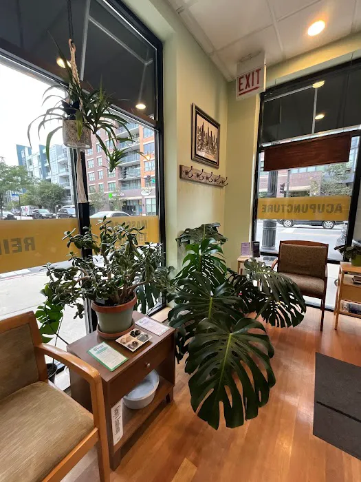 Revive Chiropractic Healing Center Picture 7