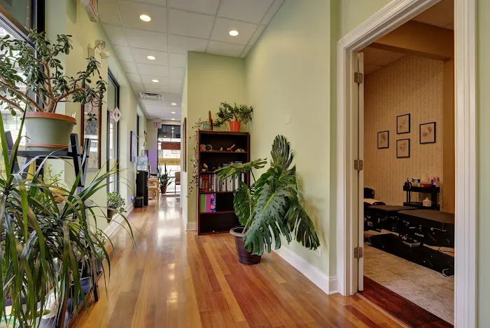 Revive Chiropractic Healing Center Picture 5