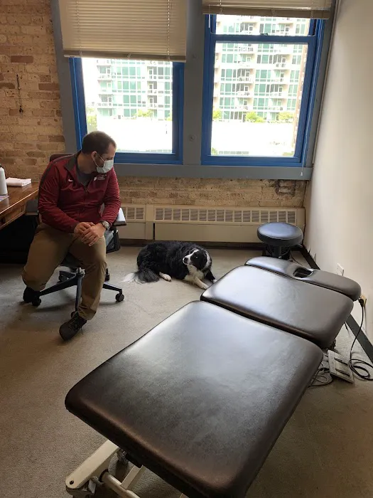 Spine and Sports Center of Chicago - Chiropractic & Rehabilitation Picture 3