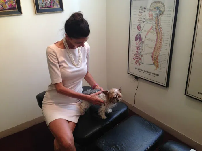 Stiles Chiropractic Offices Picture 4